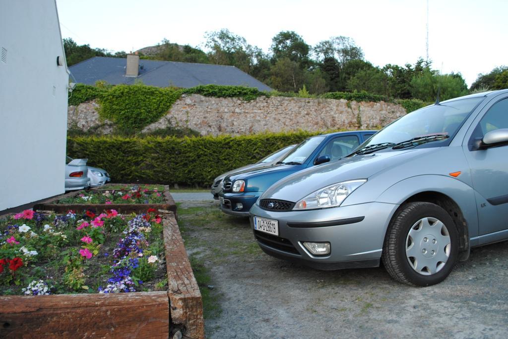 Hillview B&B Bray Eksteriør billede